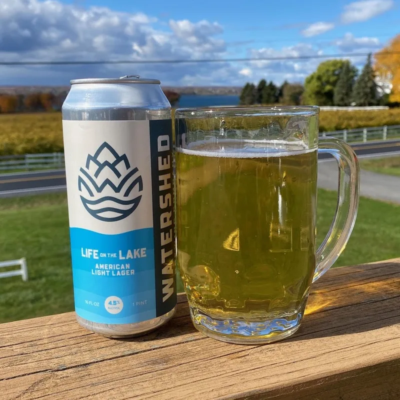 Life on the Lake American Light Lager with Seneca Lake view